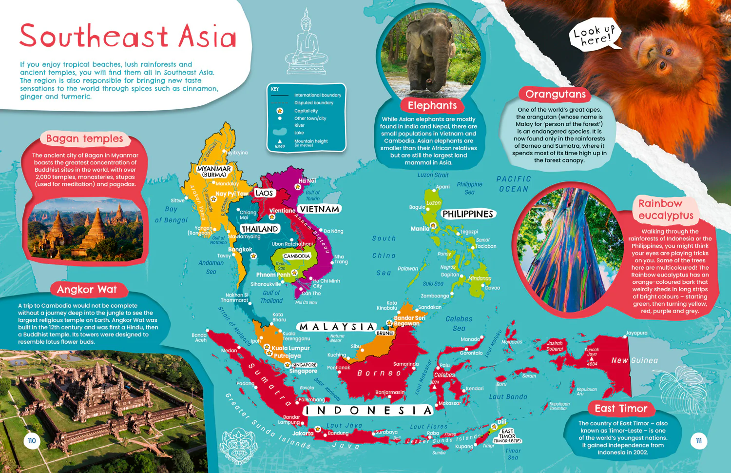 World Tour: The ultimate journey around the globe - Image 5