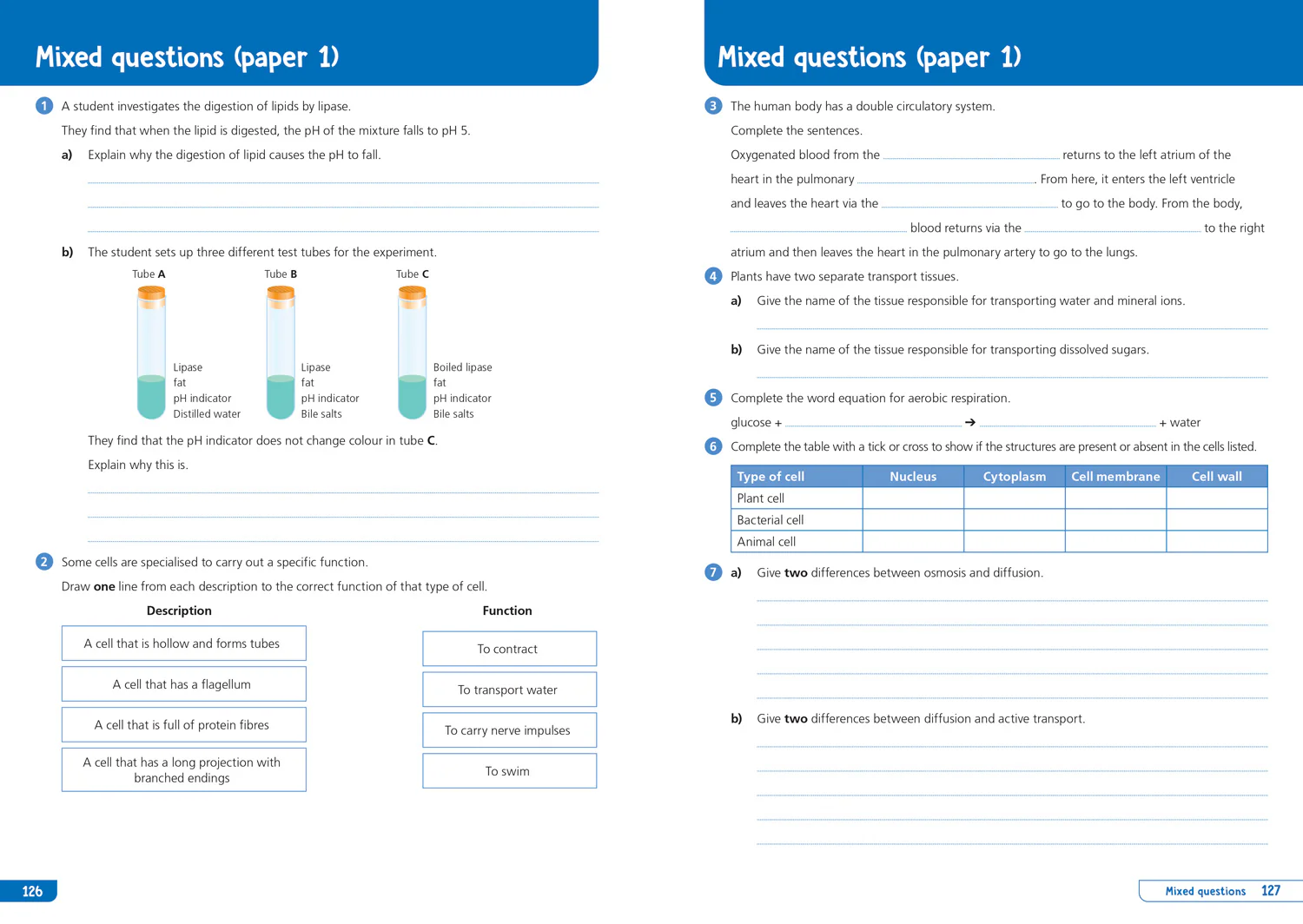 Collins GCSE Grade 9-1 Revision - AQA GCSE 9-1 Biology Organise and Retrieve Your Knowledge: Ideal for the 2026 and 2027 exams - Image 6