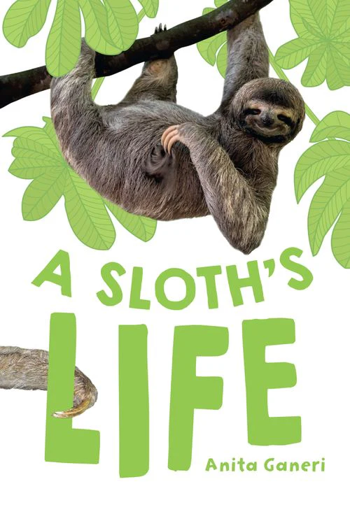 Big Cat for Little Wandle Fluency - A Sloth's Life: Fluency 7