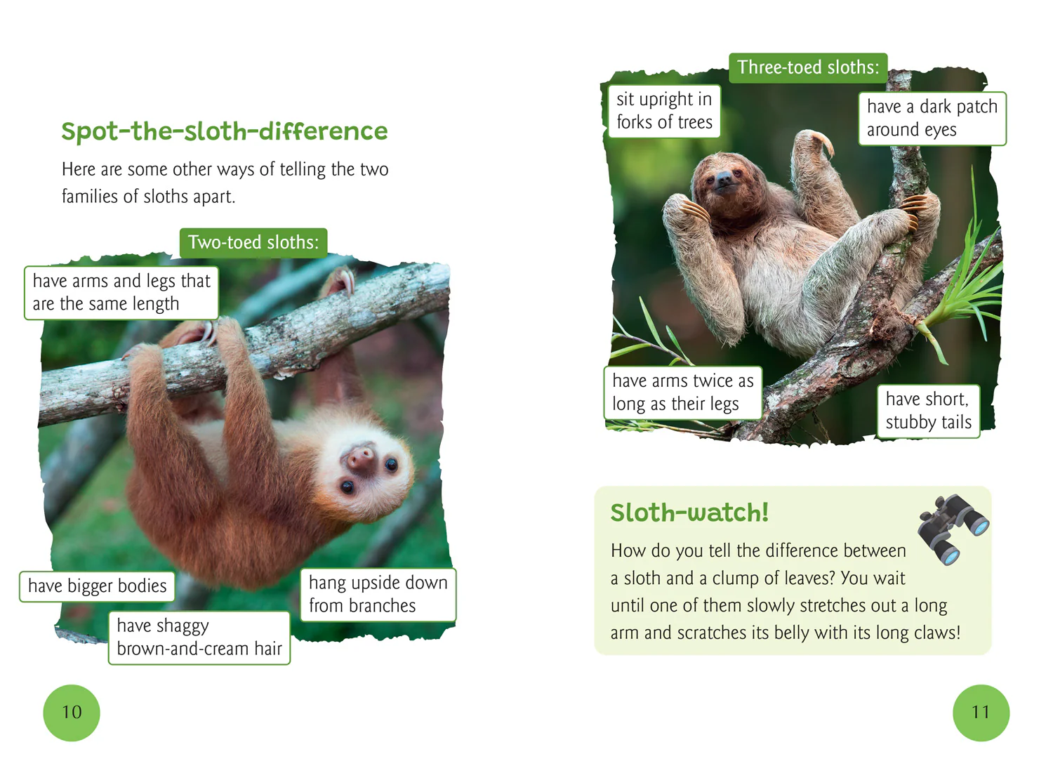 Big Cat for Little Wandle Fluency - A Sloth's Life: Fluency 7 - Image 2