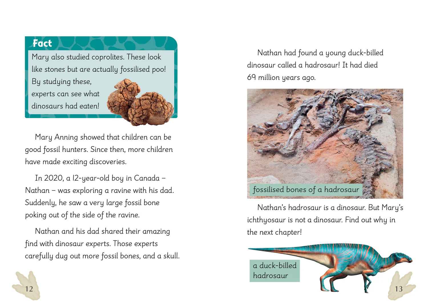 Big Cat for Little Wandle Fluency - Discovering Dinosaurs: Fluency 4 - Image 2