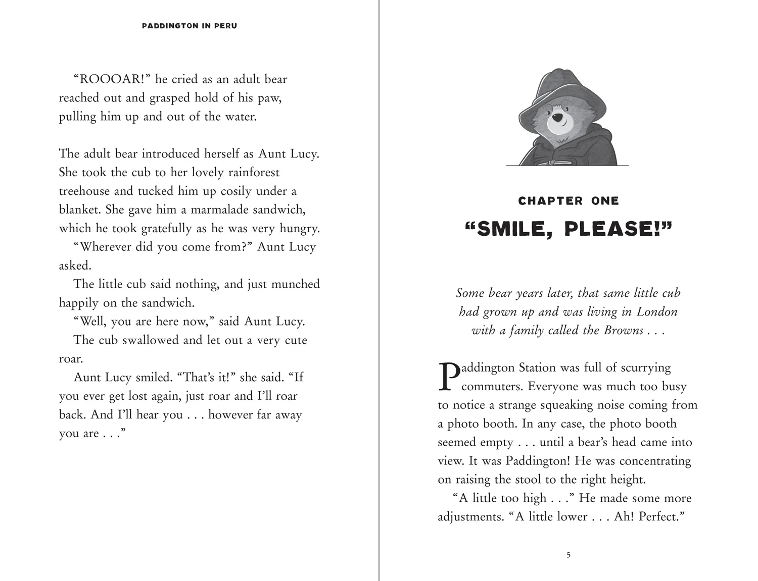 Paddington in Peru: The Story of the Movie - Image 4