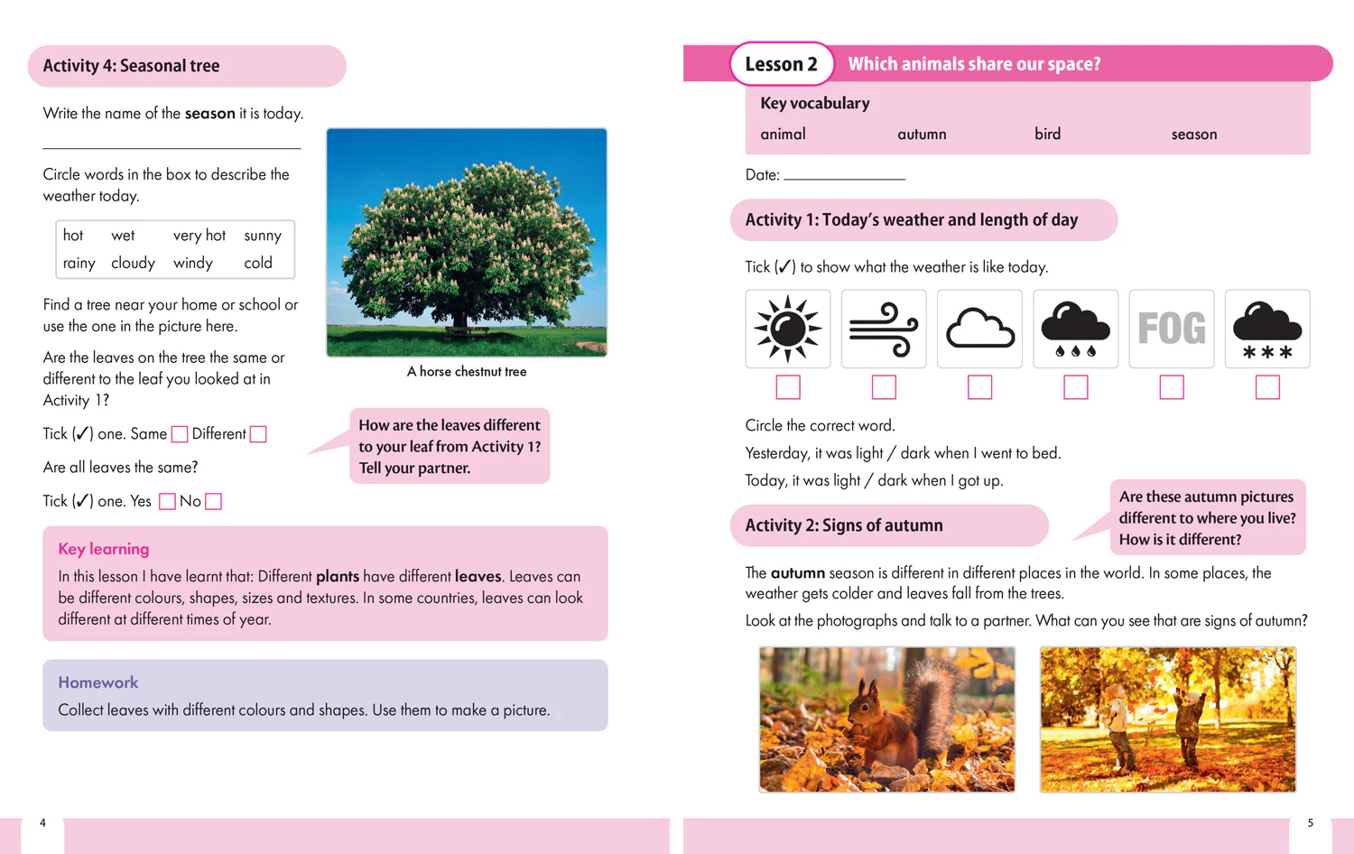 Snap Science 2nd Edition - Snap Science Pupil Workbook Year 1 - Image 4