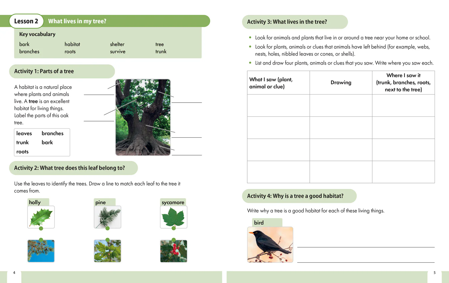 Snap Science 2nd Edition - Snap Science Pupil Workbook Year 2 - Image 4