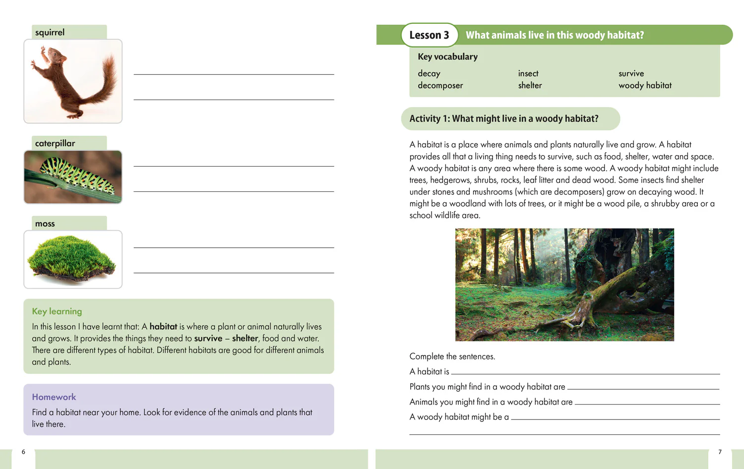 Snap Science 2nd Edition - Snap Science Pupil Workbook Year 2 - Image 5