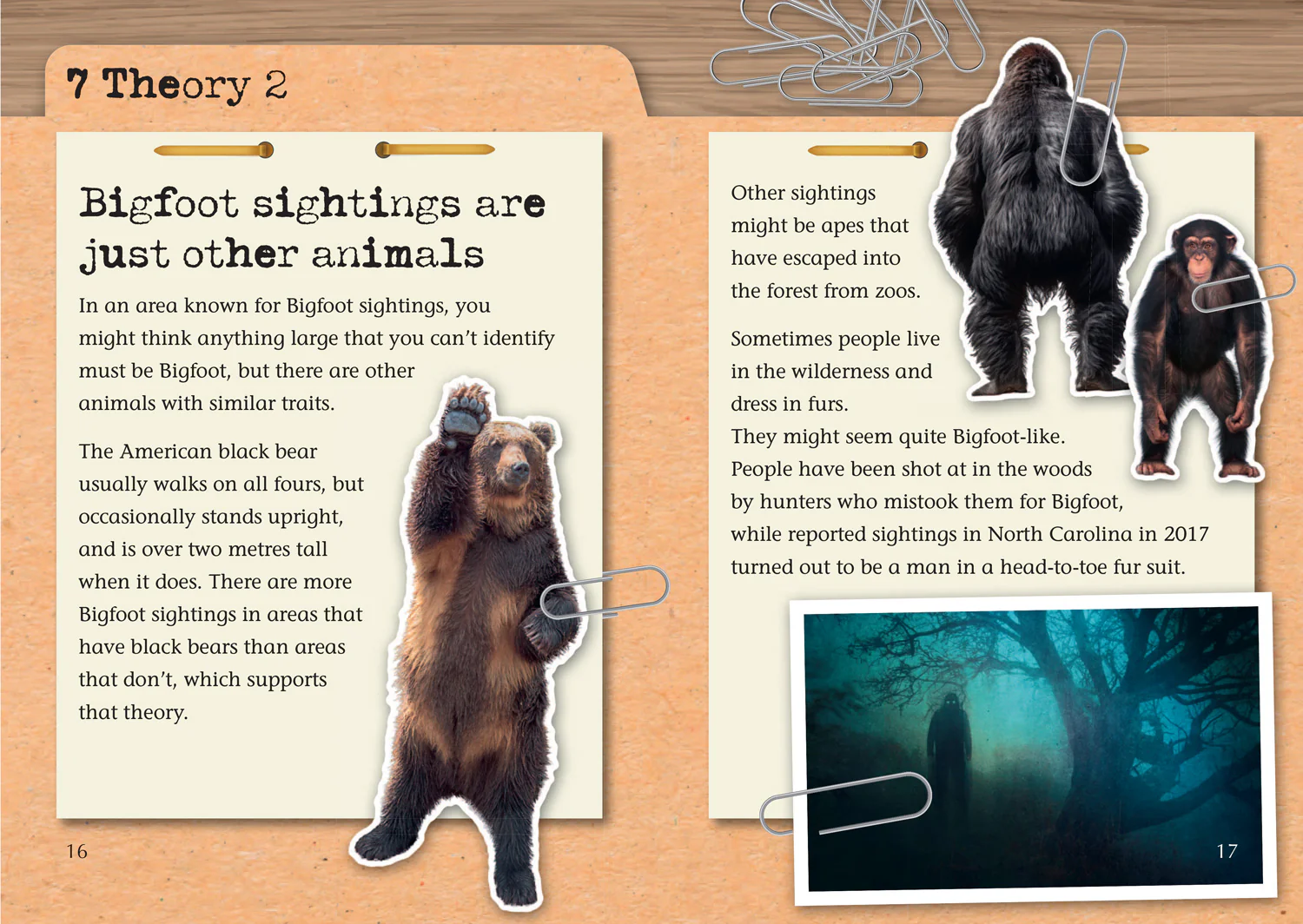 Collins Big Cat - The Unsolved Mystery of Bigfoot: Band 11/Lime - Image 3