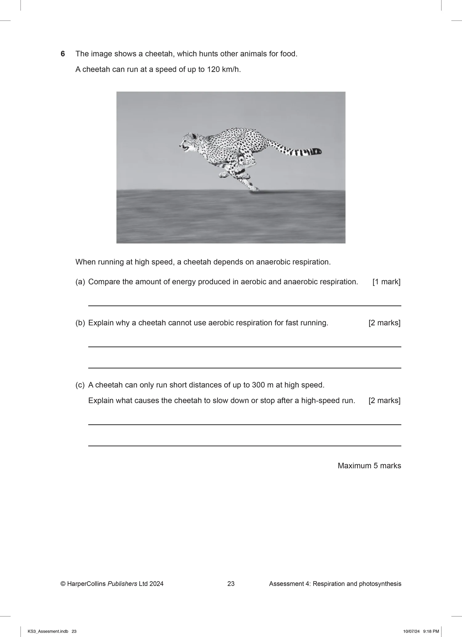 KS3 Science Now - KS3 Science Now Assessment Pack - Image 5