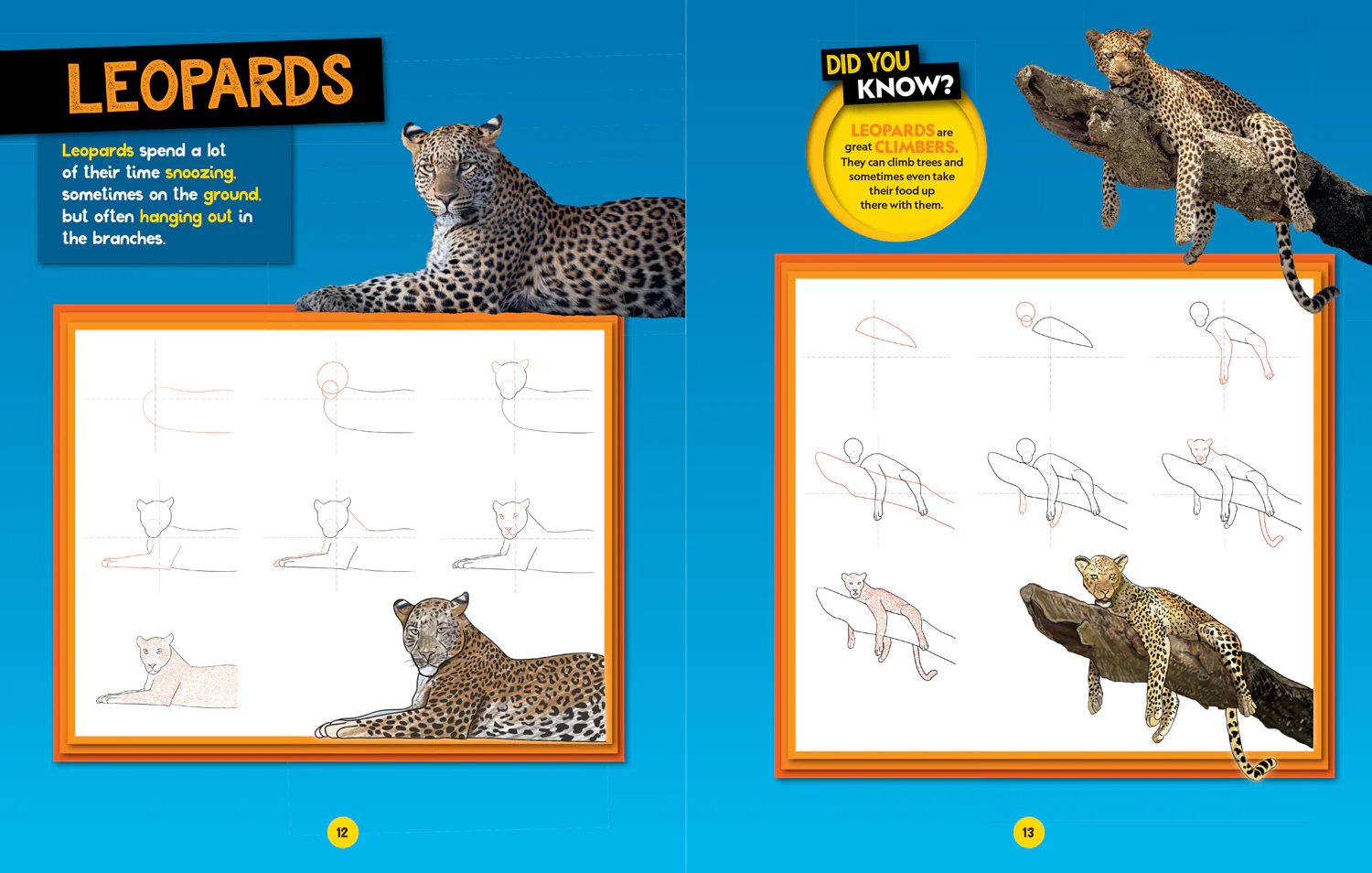 National Geographic Kids - How to Draw Safari Animals: A step-by-step learn to draw book for kids aged 6+ - Image 3