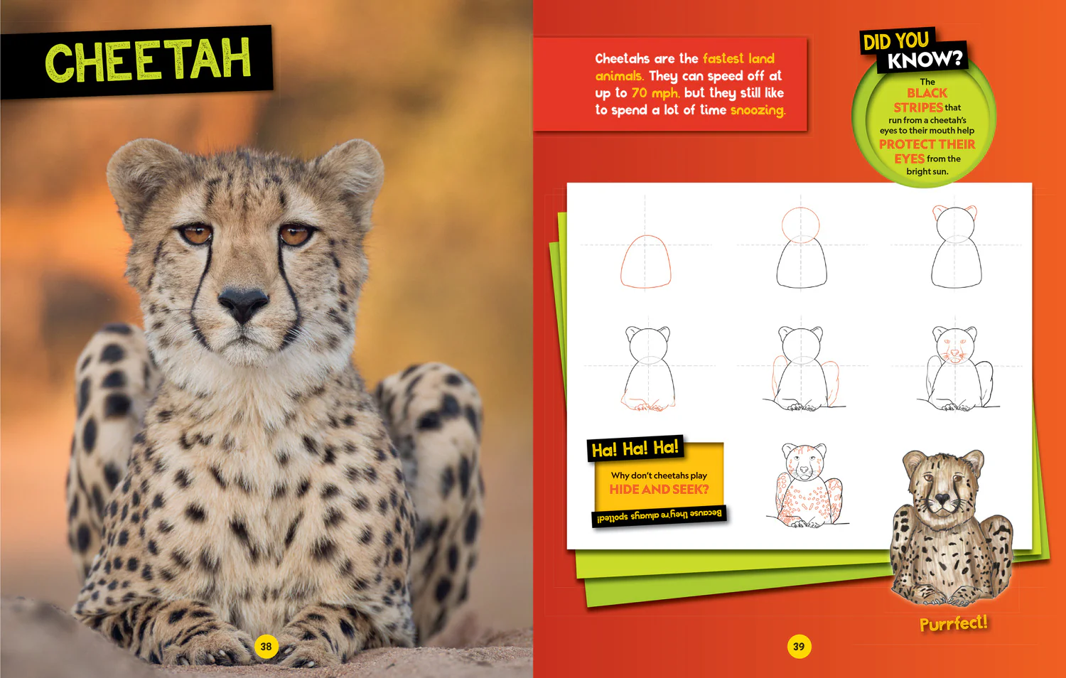National Geographic Kids - How to Draw Safari Animals: A step-by-step learn to draw book for kids aged 6+ - Image 4