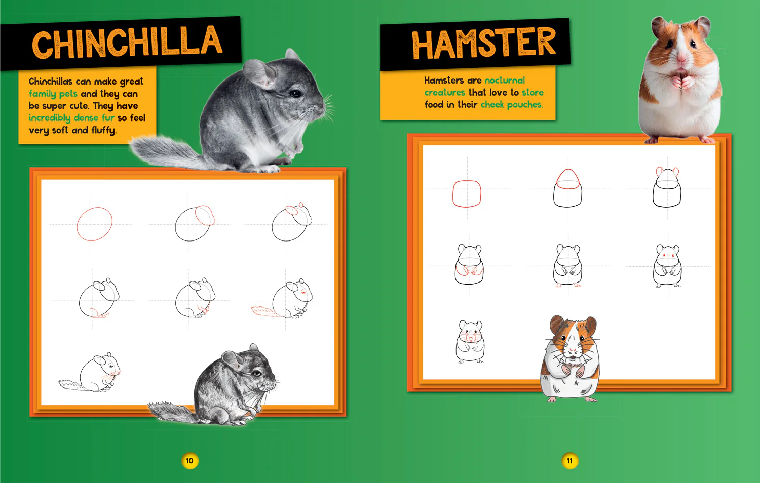 National Geographic Kids - How to Draw Cute Animals: A step-by-step learn to draw book for kids aged 6+ - Image 3