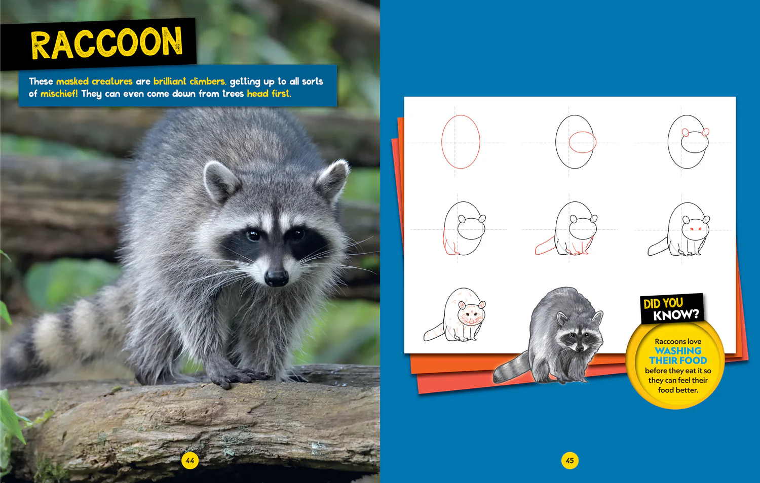 National Geographic Kids - How to Draw Cute Animals: A step-by-step learn to draw book for kids aged 6+ - Image 4