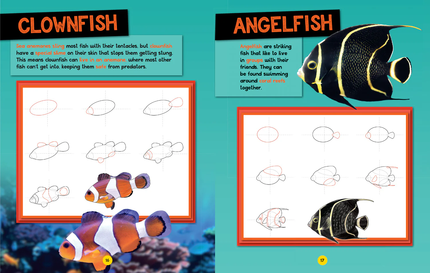 National Geographic Kids - How to Draw Ocean Animals: A step-by-step learn to draw book for kids aged 6+ - Image 3