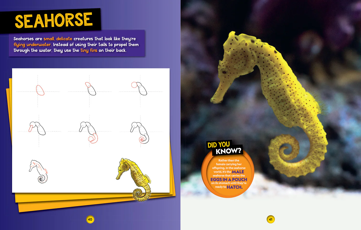 National Geographic Kids - How to Draw Ocean Animals: A step-by-step learn to draw book for kids aged 6+ - Image 4