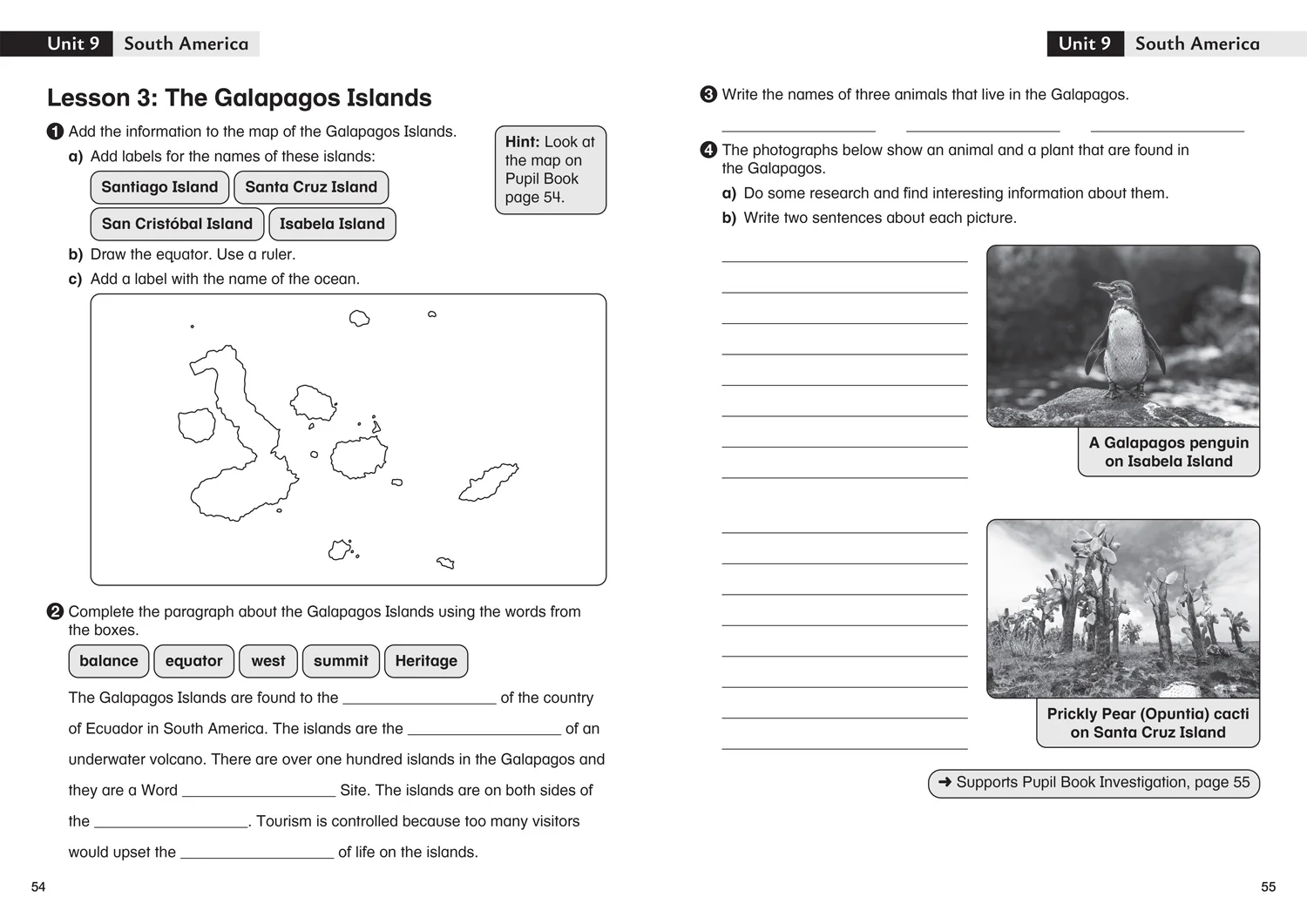 Collins Primary Geography - Investigation – Workbook 3: (Fourth edition) - Image 4