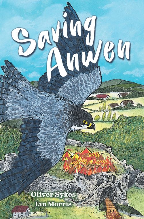 Big Cat Read On - Saving Anwen