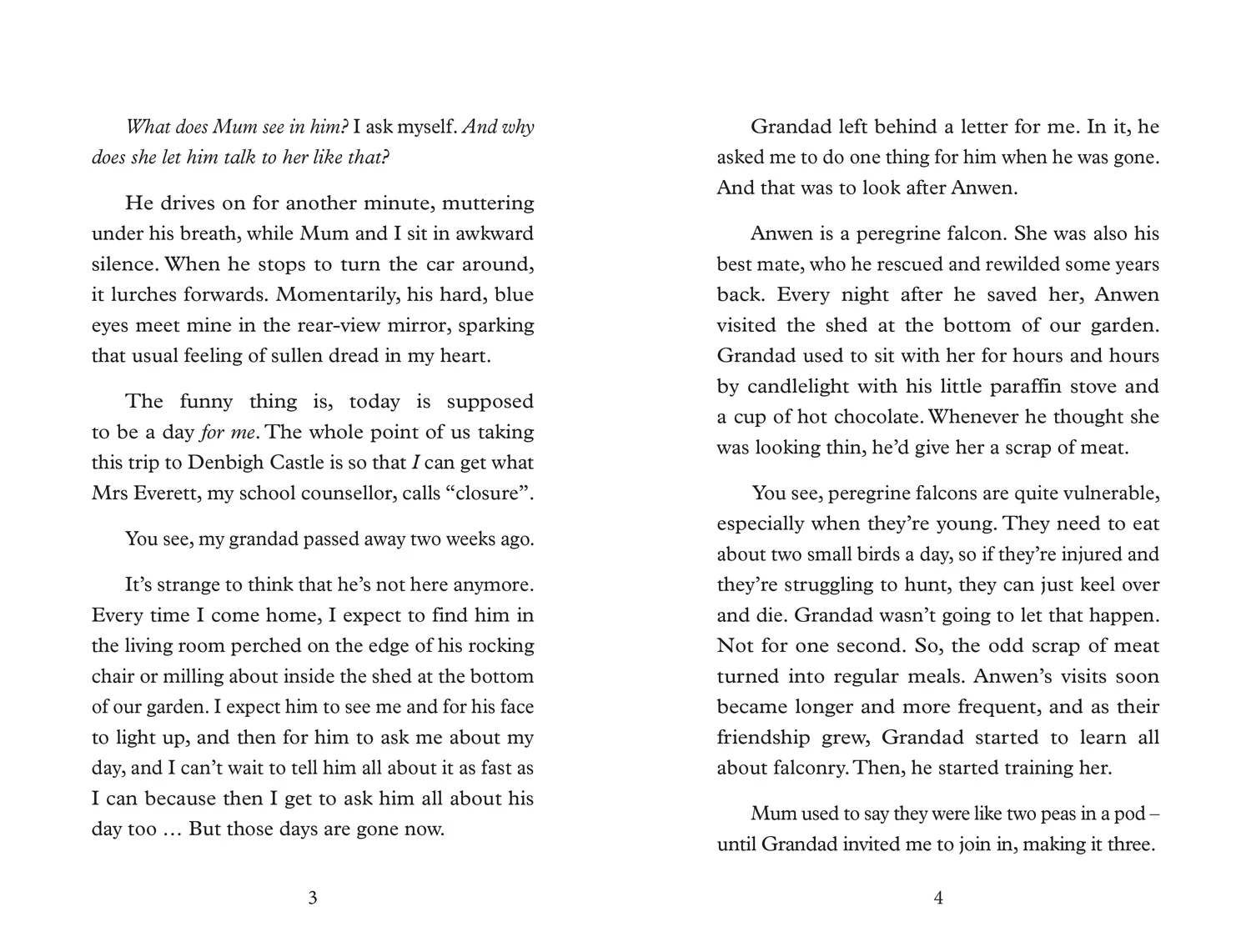 Big Cat Read On - Saving Anwen - Image 3