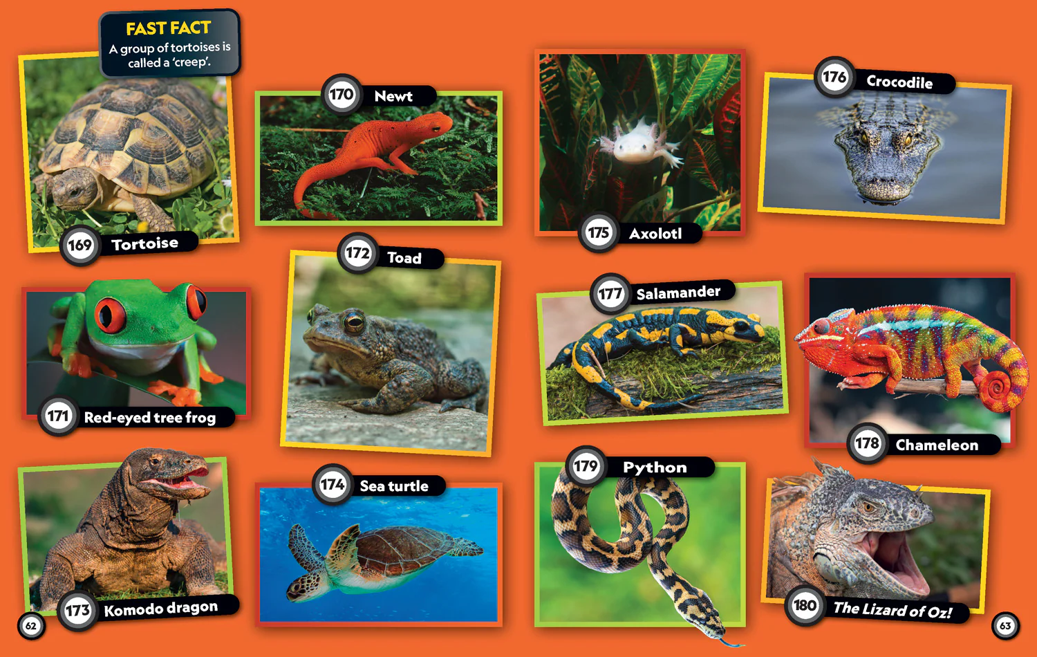 National Geographic Kids - Fun Riddle Book: 300 fun riddles and brain-teasers - Image 4