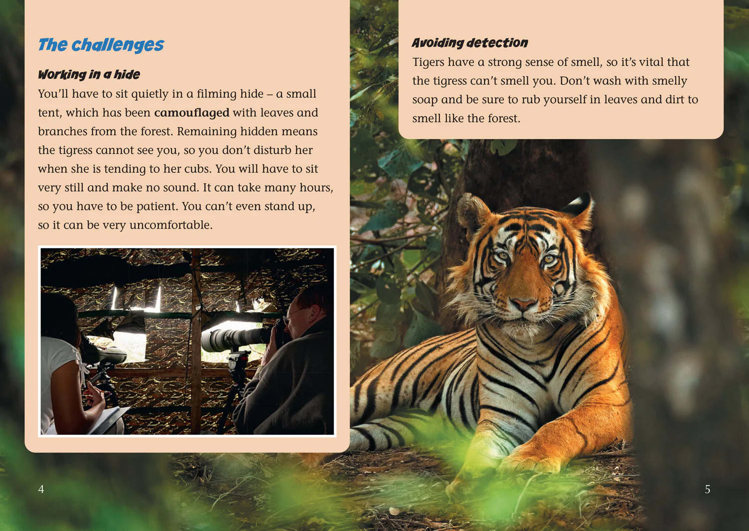 Collins Big Cat - Filming in the Wild: Band 11/Lime - Image 2