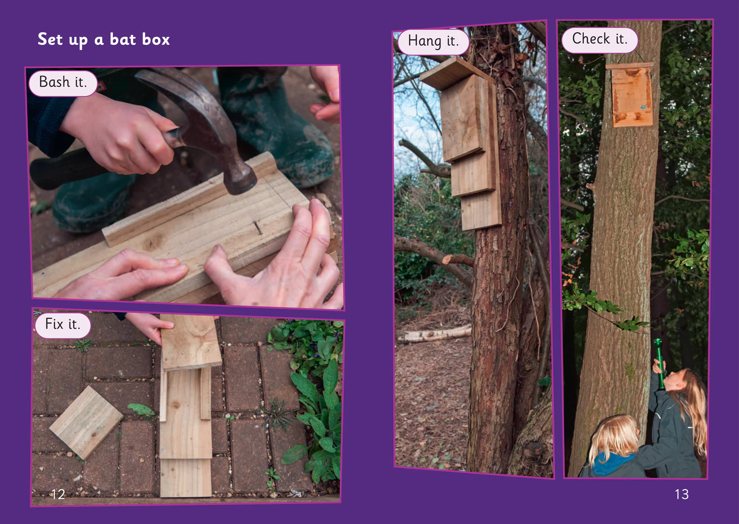 Big Cat Phonics for Little Wandle Letters and Sounds Revised – Age 7+ - Bats: Phase 2 Set 5 - Image 4