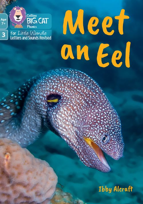 Big Cat Phonics for Little Wandle Letters and Sounds Revised – Age 7+ - Meet an Eel: Phase 3 Set 1 Blending practice