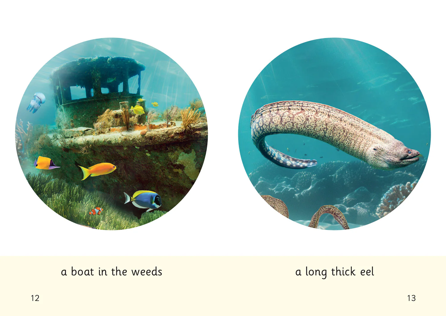 Big Cat Phonics for Little Wandle Letters and Sounds Revised – Age 7+ - Meet an Eel: Phase 3 Set 1 Blending practice - Image 3