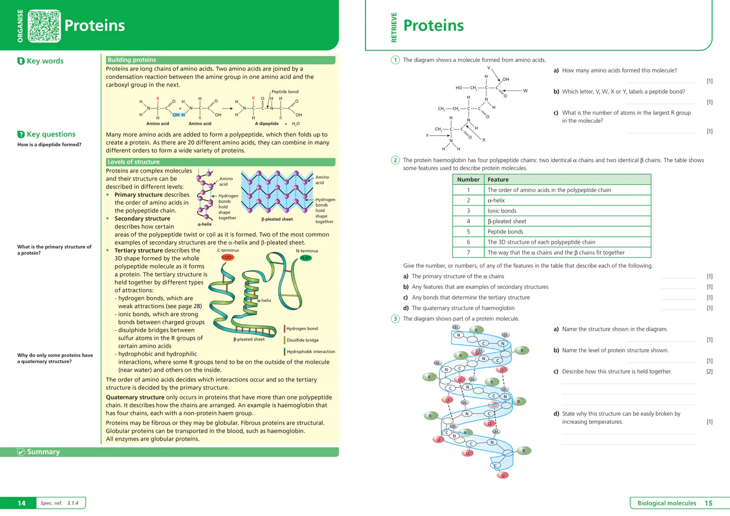 Collins A level Revision - AQA A-level Biology Organise and Retrieve Your Knowledge: Ideal for the 2026 and 2027 exams - Image 3