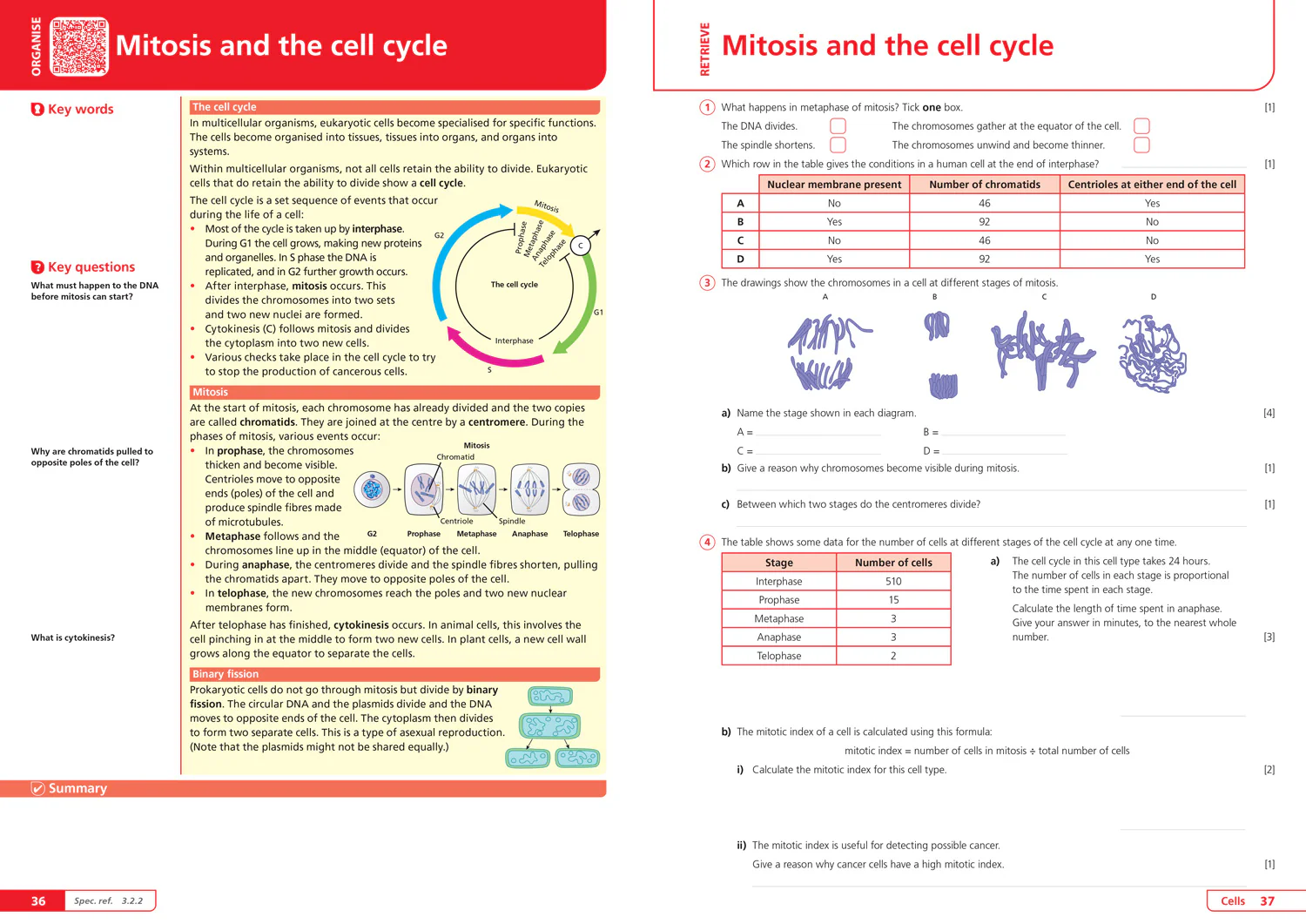 Collins A level Revision - AQA A-level Biology Organise and Retrieve Your Knowledge: Ideal for the 2026 and 2027 exams - Image 4