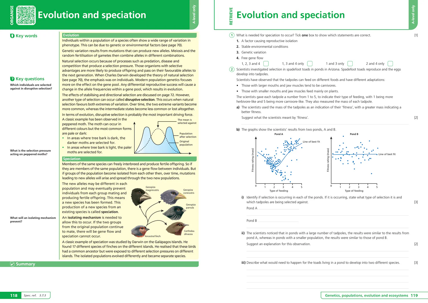 Collins A level Revision - AQA A-level Biology Organise and Retrieve Your Knowledge: Ideal for the 2026 and 2027 exams - Image 6