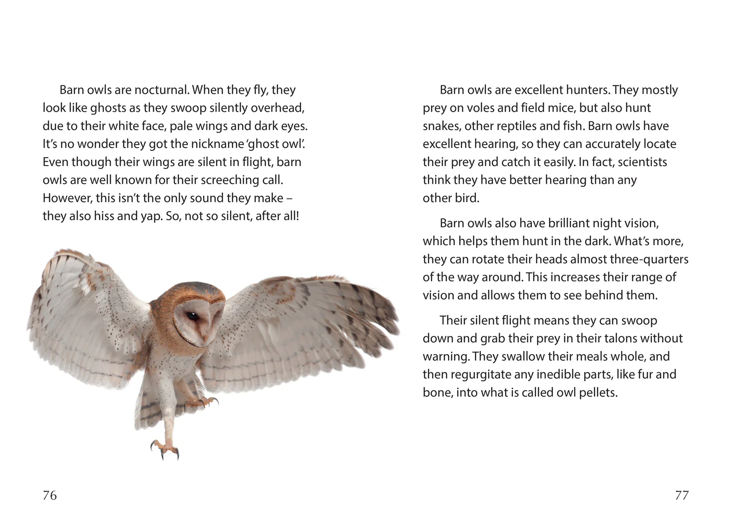Big Cat for Little Wandle Fluency - Creepy Creatures: Fluency 12 - Image 3