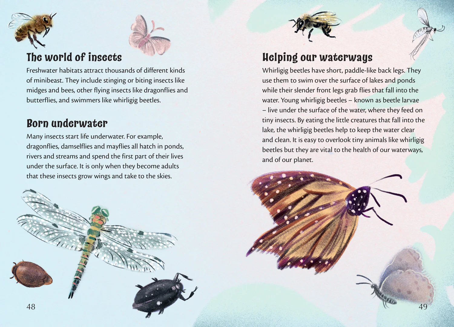 Big Cat for Little Wandle Fluency - Poems for our Planet: Fluency 15 - Image 3