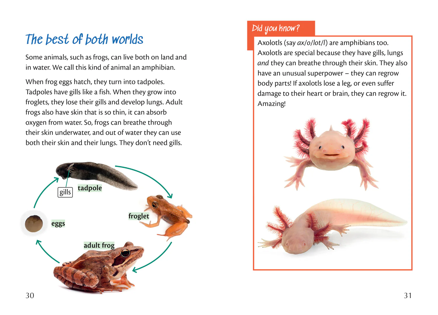 Big Cat for Little Wandle Fluency - Why is the sky blue?: Fluency 14