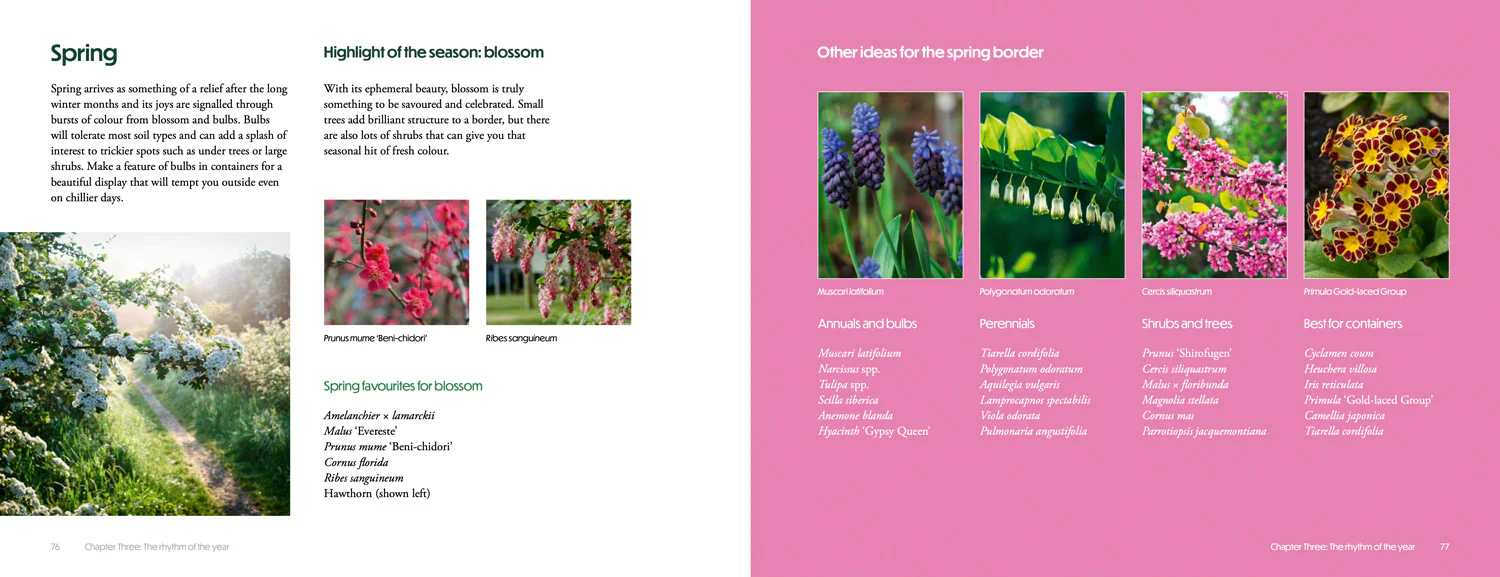 National Trust - How to Create Beautiful Flowerbeds and Borders: Expert Advice and Inspiration from the National Trust - Image 5