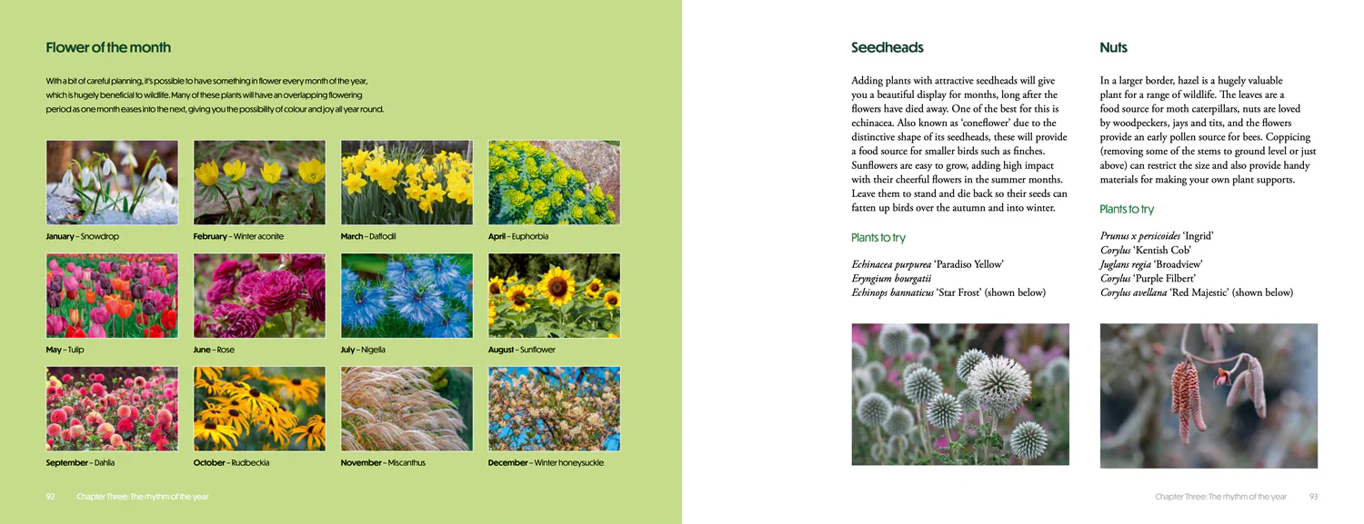 National Trust - How to Create Beautiful Flowerbeds and Borders: Expert Advice and Inspiration from the National Trust - Image 6