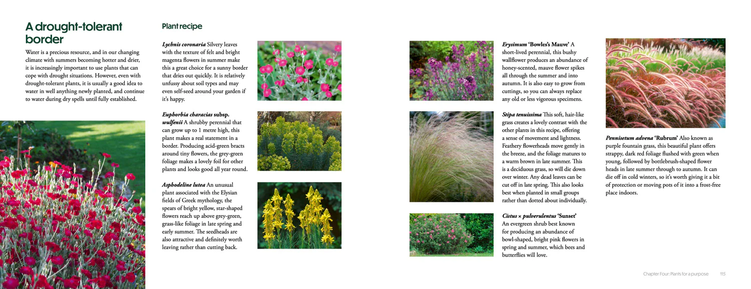 National Trust - How to Create Beautiful Flowerbeds and Borders: Expert Advice and Inspiration from the National Trust - Image 7