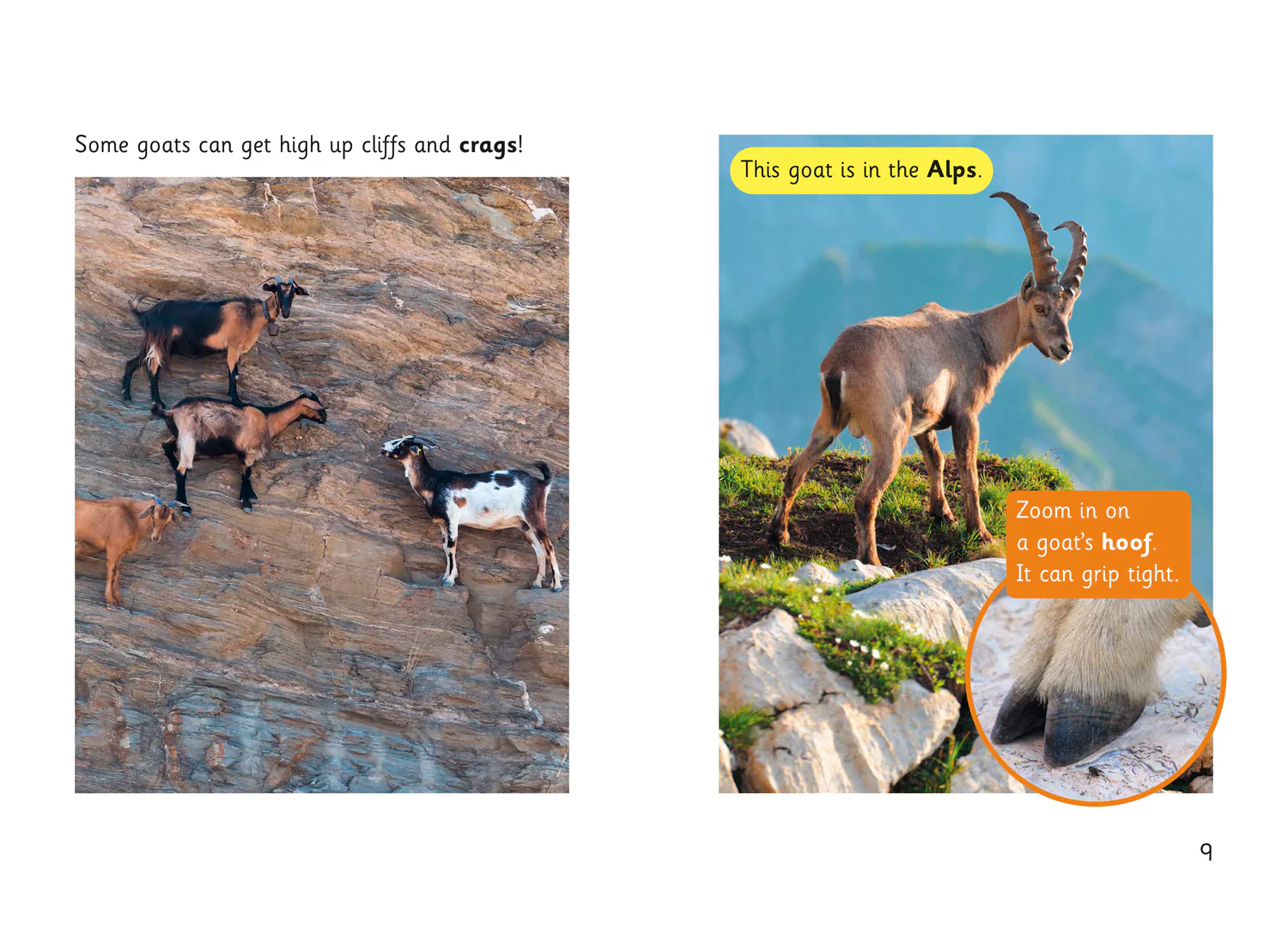 Fully Booked - Goat Skills - Image 2