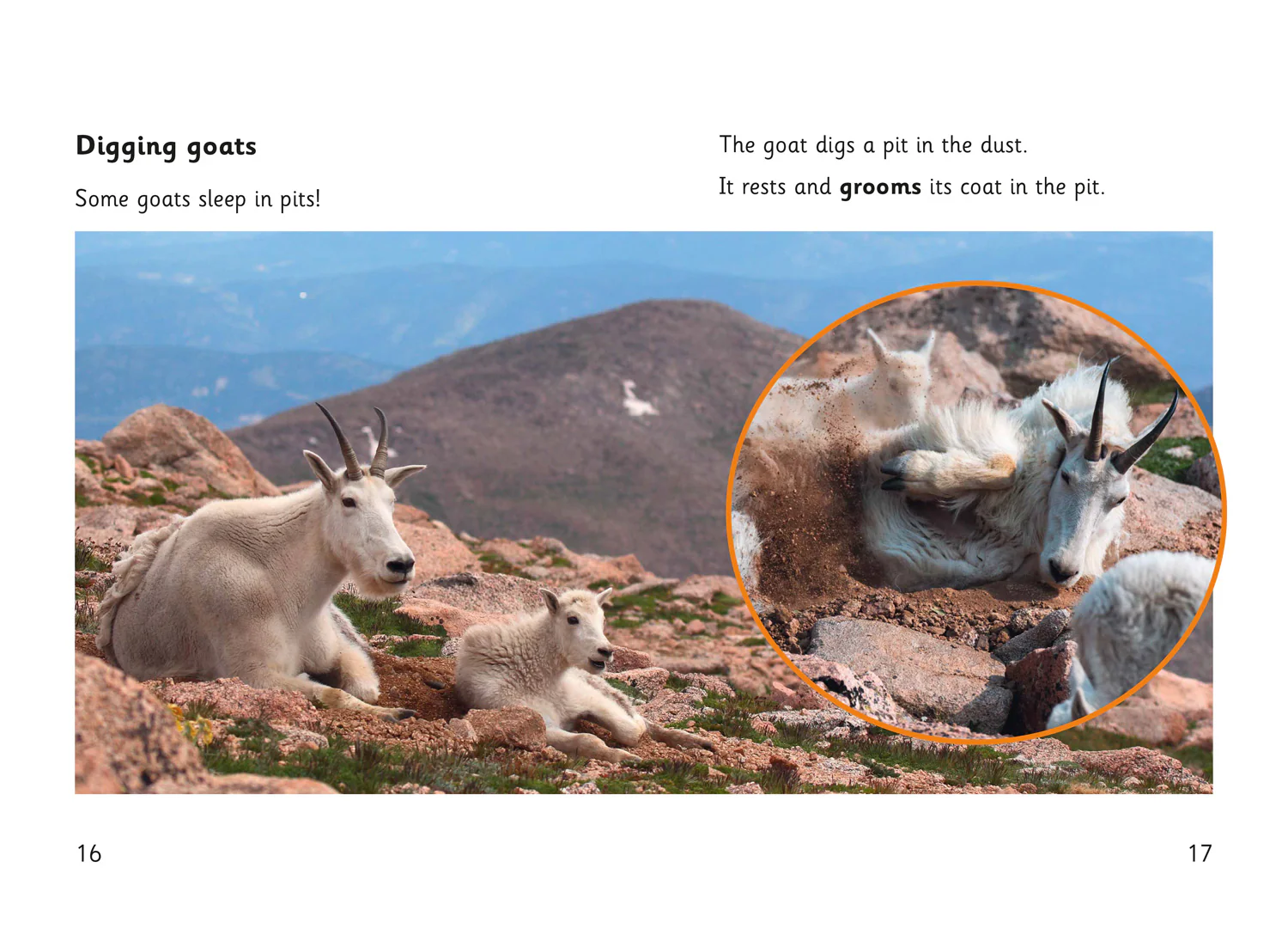 Fully Booked - Goat Skills - Image 3