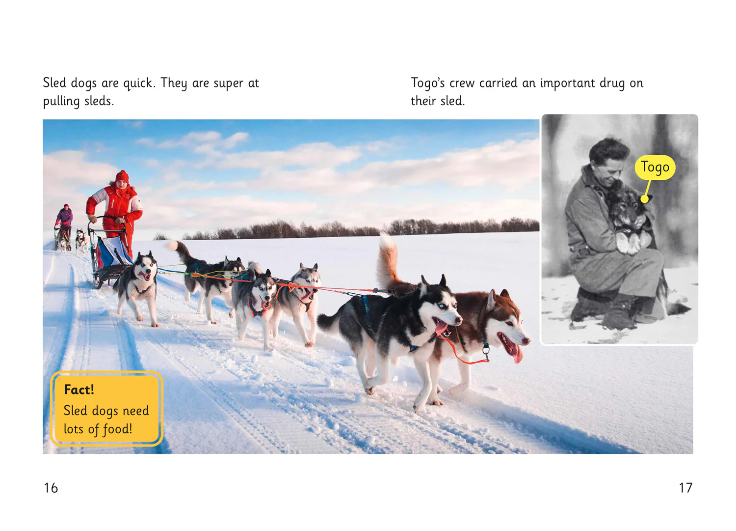 Fully Booked - Super Dogs - Image 3