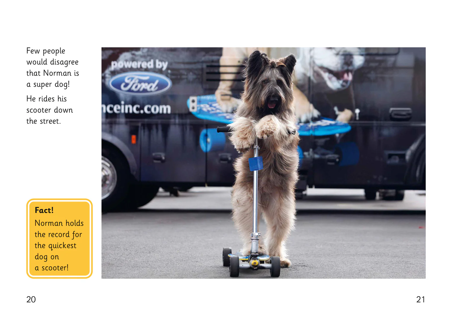 Fully Booked - Super Dogs - Image 4
