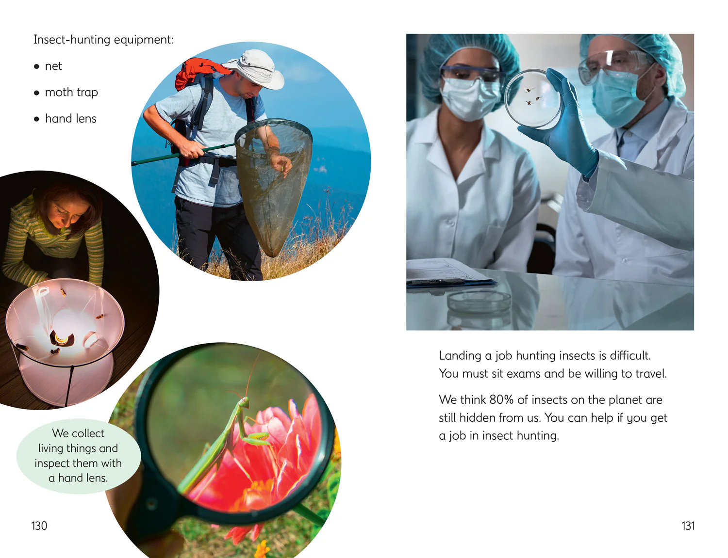 Little Wandle Code - The Colossal Squid and Other Stories: Start the Code Anthology - Image 5