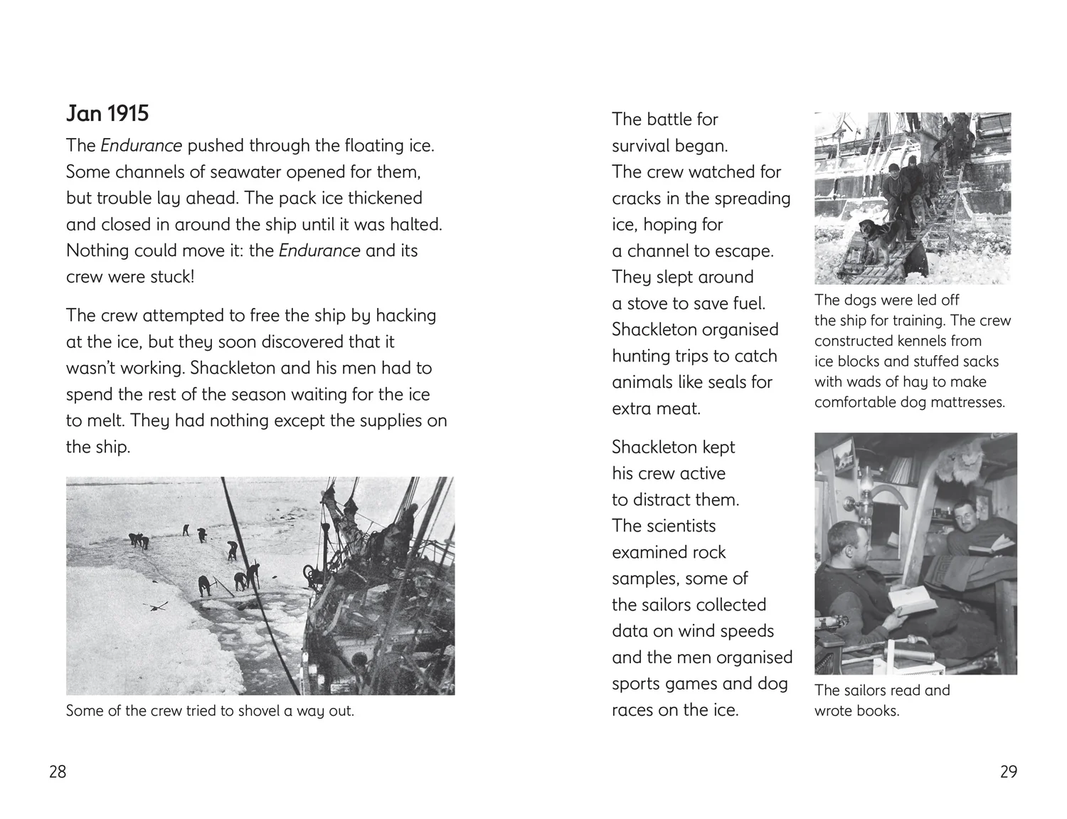 Little Wandle Code - Antarctic Survival and Other Stories: Complete the Code Anthology 5 - Image 3