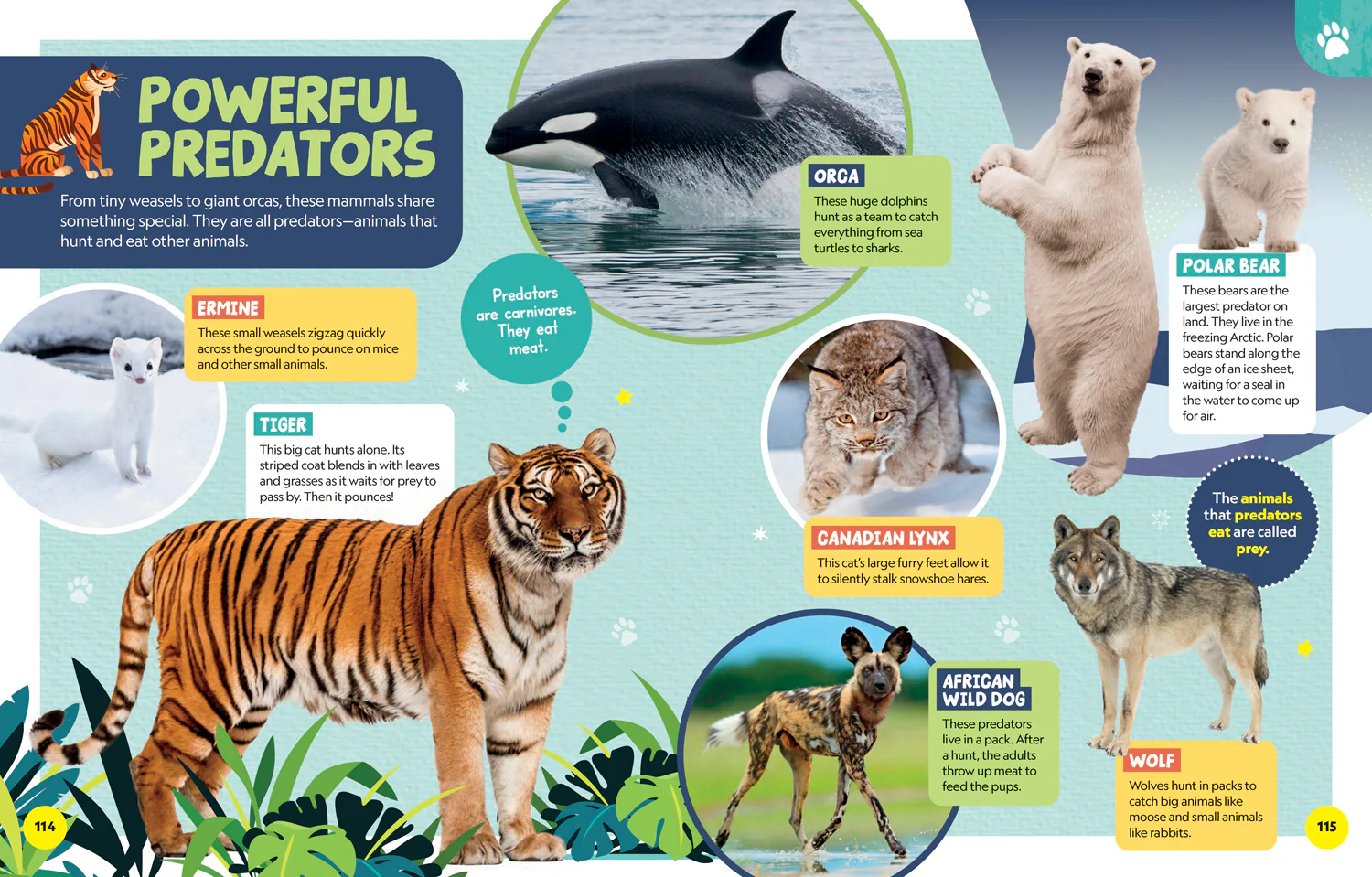 National Geographic Kids - Little Kids First Encyclopedia of Almost Everything - Image 4