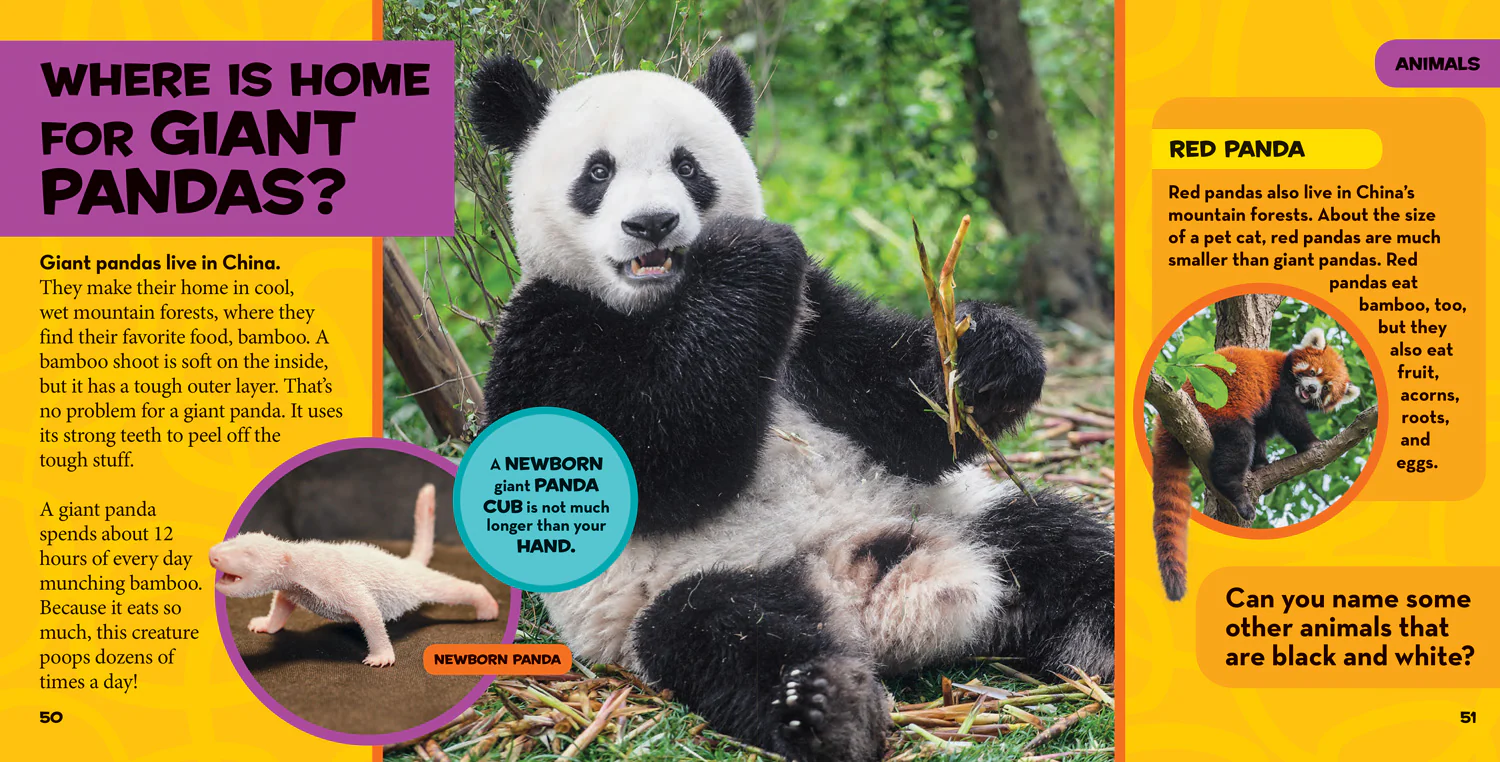 National Geographic Kids - Little Kids First Big Book of Where - Image 3