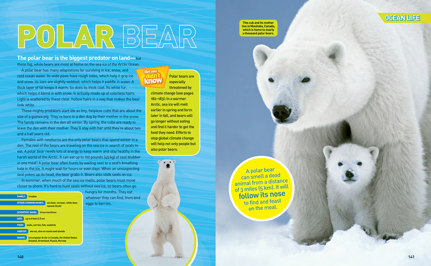 National Geographic Kids - Ultimate Oceanpedia: The Most Complete Ocean Reference Ever - Image 3