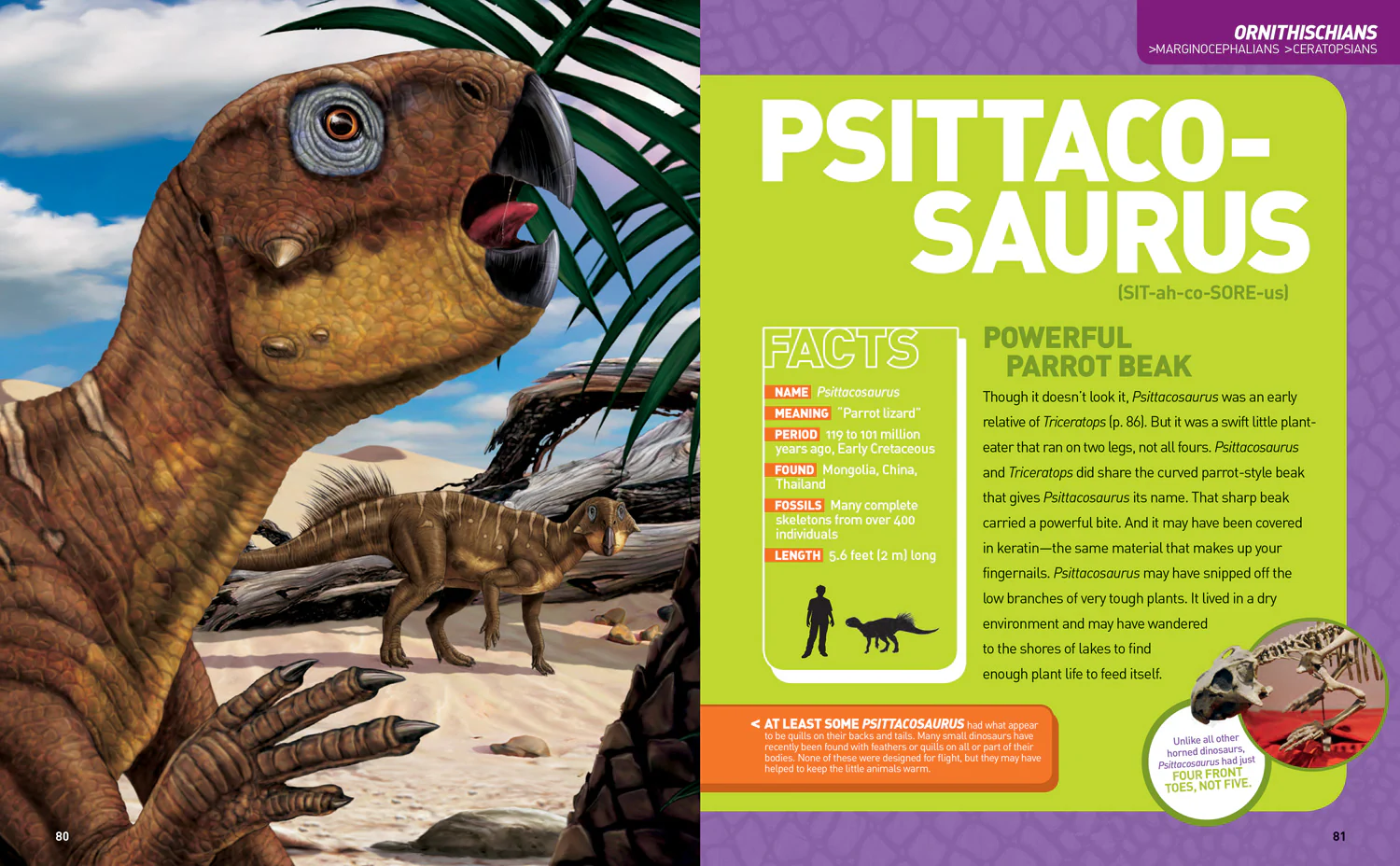 National Geographic Kids - Ultimate Dinosaur Dinopedia: (Second edition) - Image 4