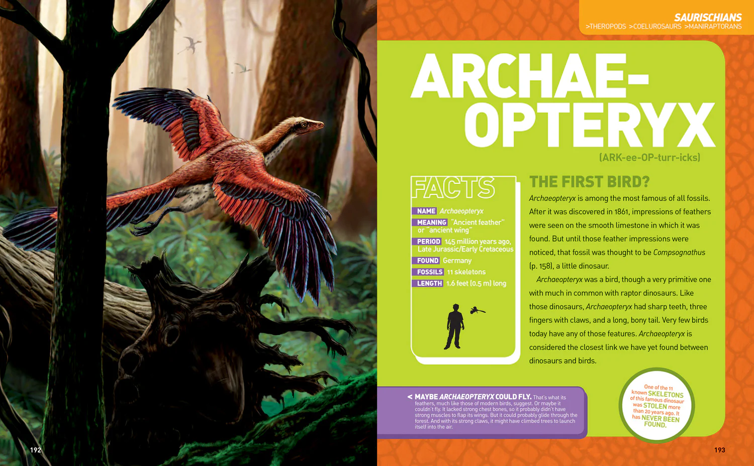 National Geographic Kids - Ultimate Dinosaur Dinopedia: (Second edition) - Image 6