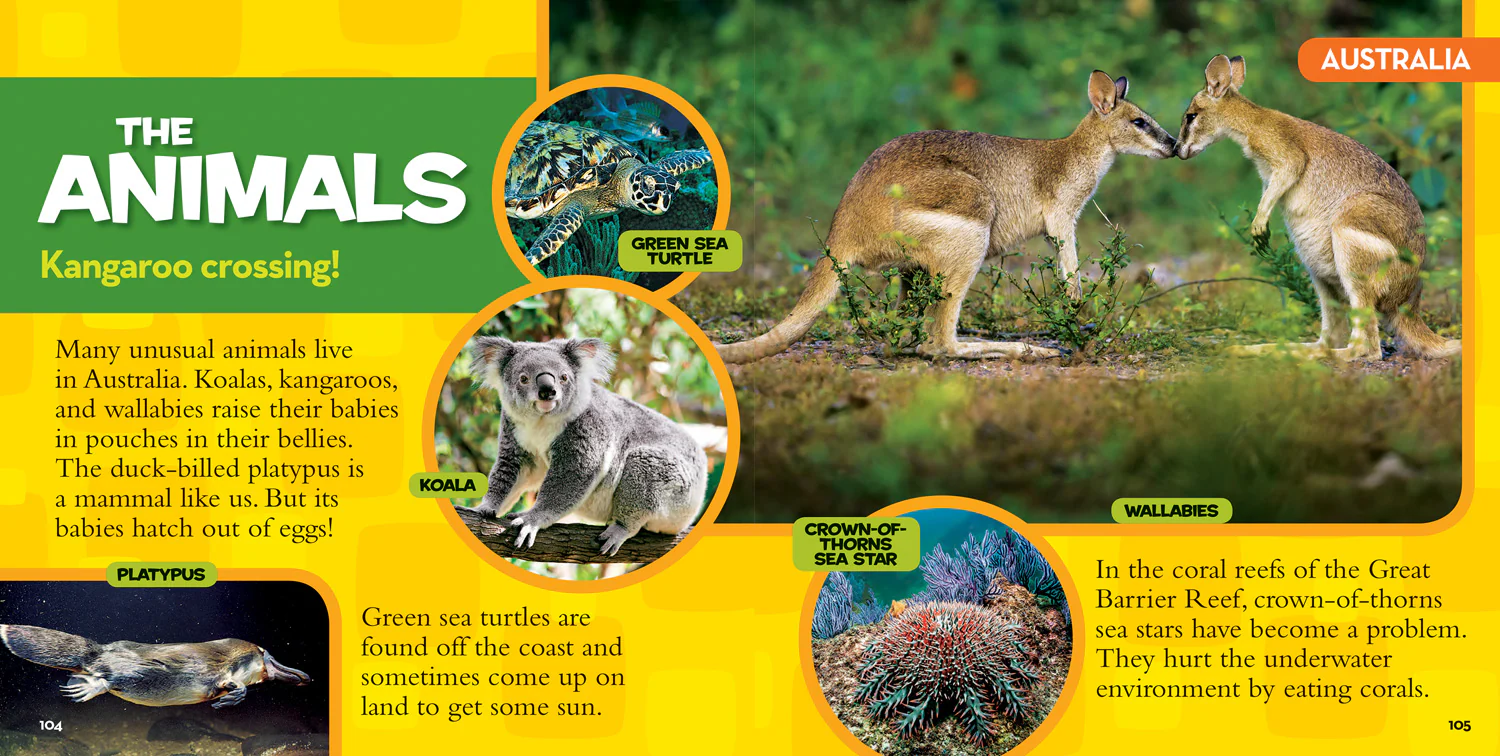 National Geographic Kids - Little Kids First Big Book of The World - Image 5