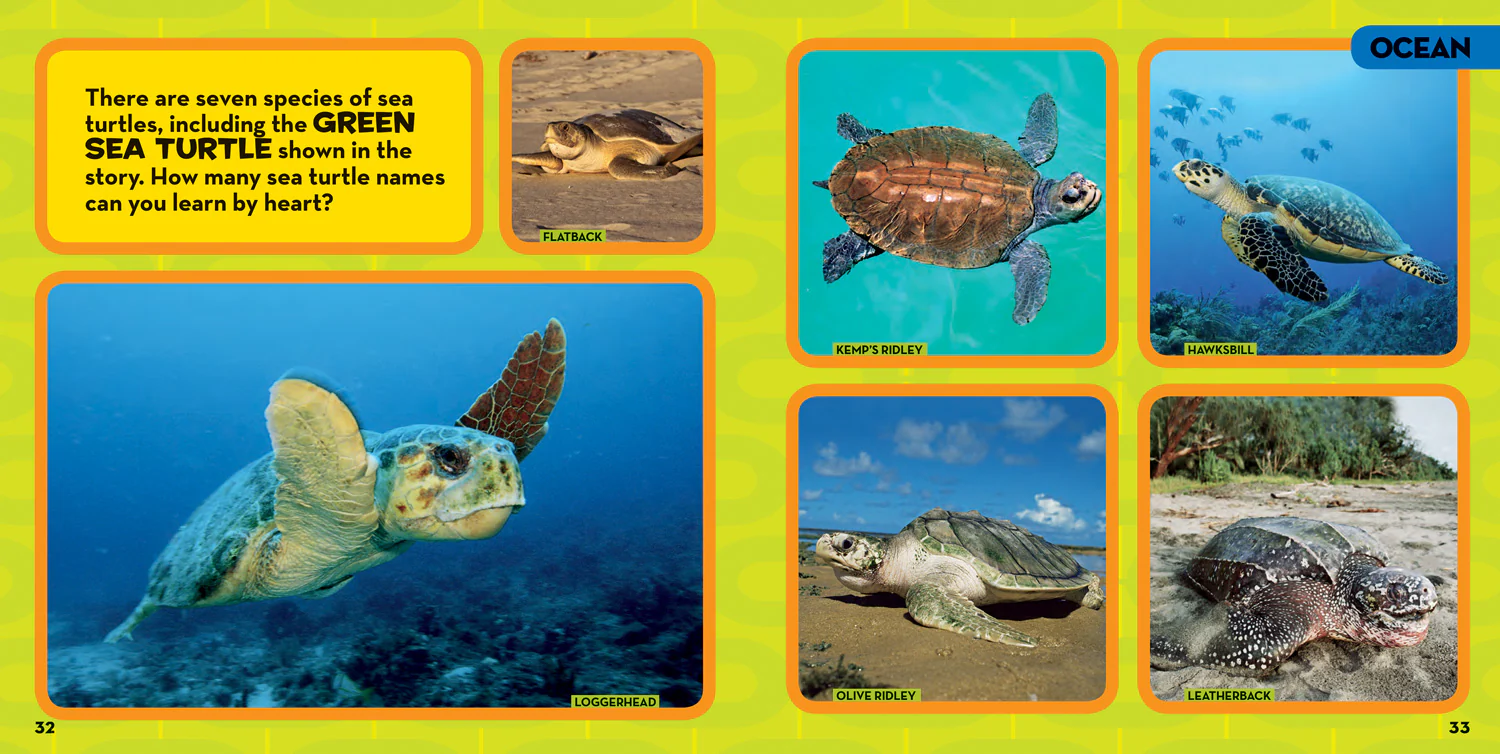 National Geographic Kids - Little Kids First Big Book of Animals - Image 3