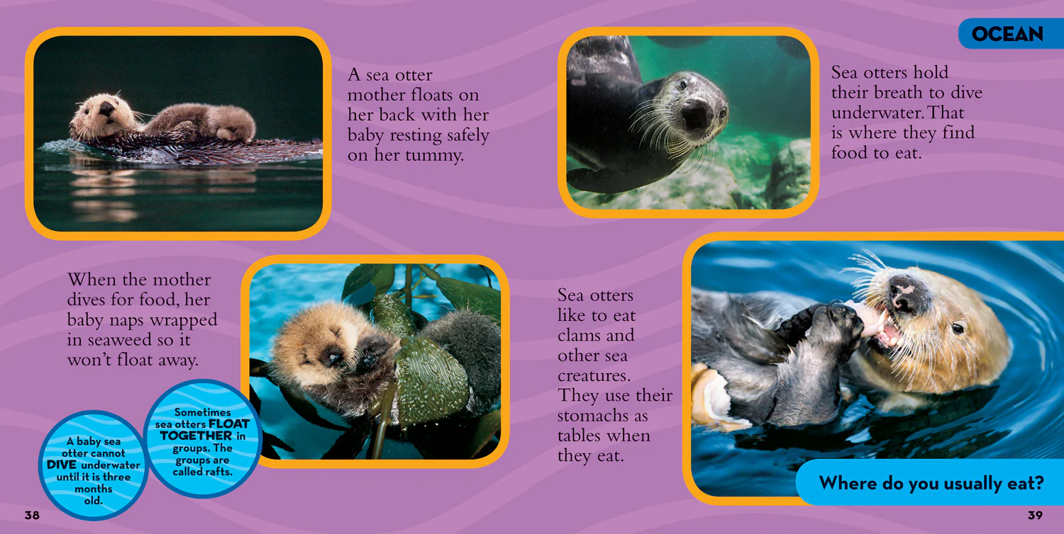 National Geographic Kids - Little Kids First Big Book of Animals - Image 4