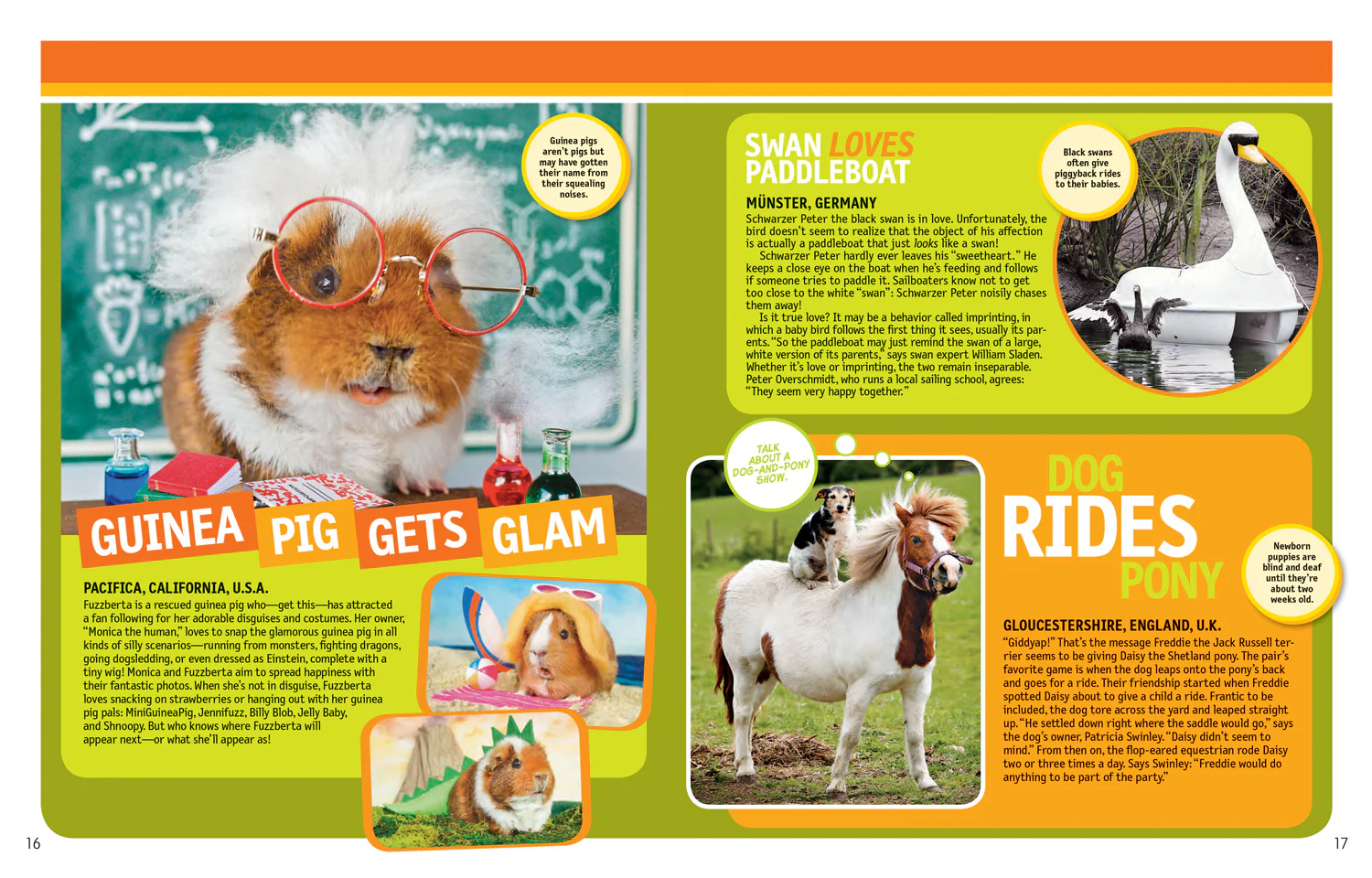 National Geographic Kids - 125 True Stories of Amazing Animals: Inspiring Tales of Animal Friendship & Four-Legged Heroes, Plus Crazy Animal Antics - Image 2