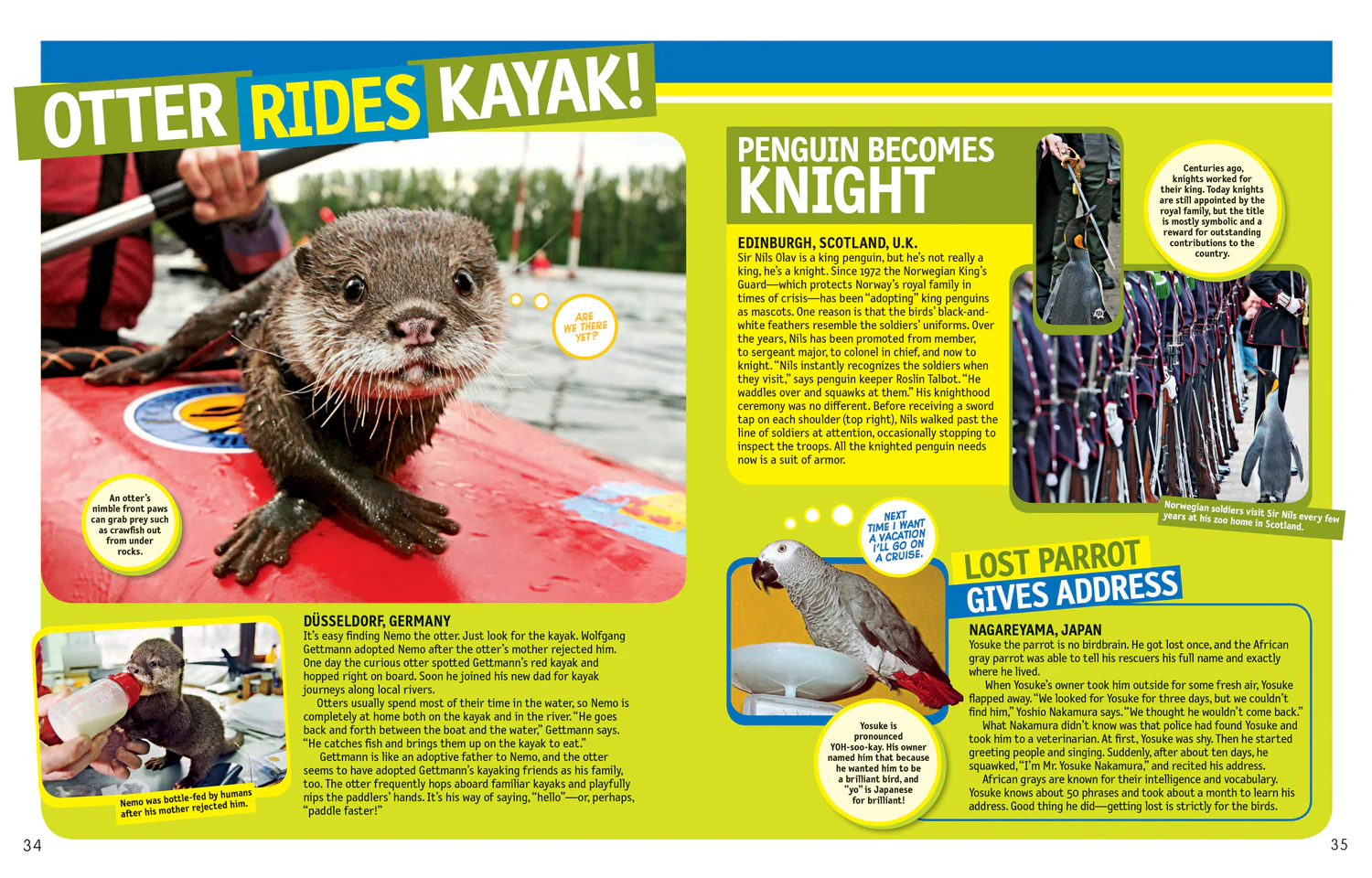 National Geographic Kids - 125 True Stories of Amazing Animals: Inspiring Tales of Animal Friendship & Four-Legged Heroes, Plus Crazy Animal Antics - Image 3